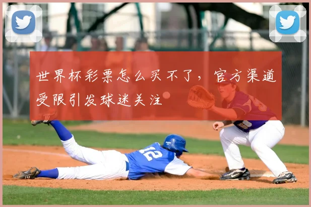 世界杯彩票怎么买不了,官方渠道受限引发球迷关注