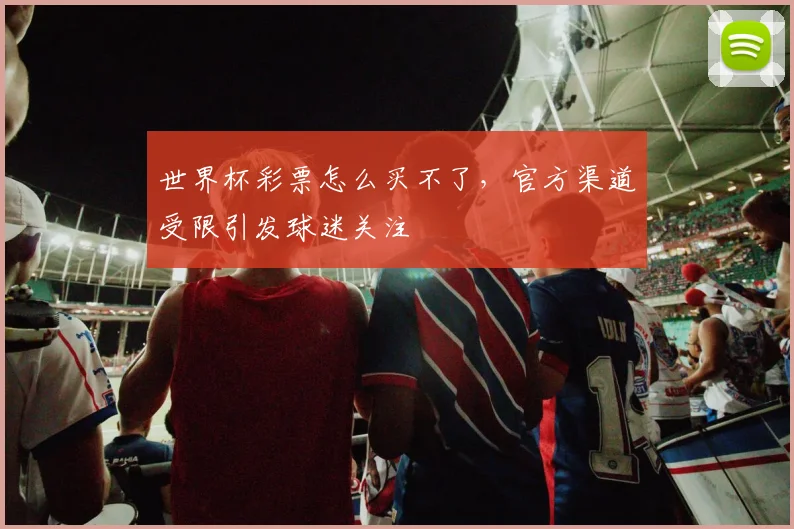 世界杯彩票怎么买不了,官方渠道受限引发球迷关注