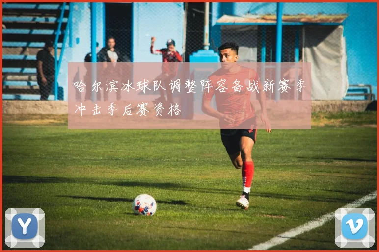 哈尔滨冰球队调整阵容备战新赛季冲击季后赛资格