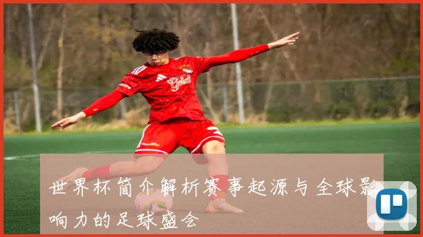 世界杯简介解析赛事起源与全球影响力的足球盛会