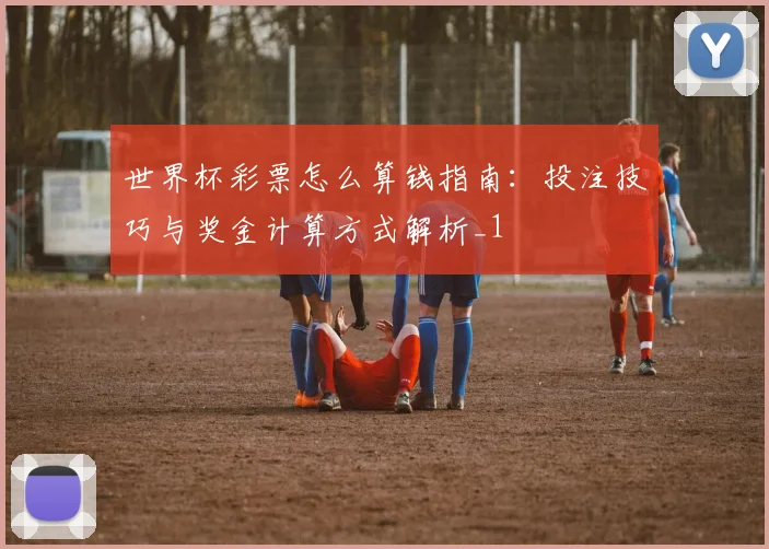 世界杯彩票怎么算钱指南:投注技巧与奖金计算方式解析_1