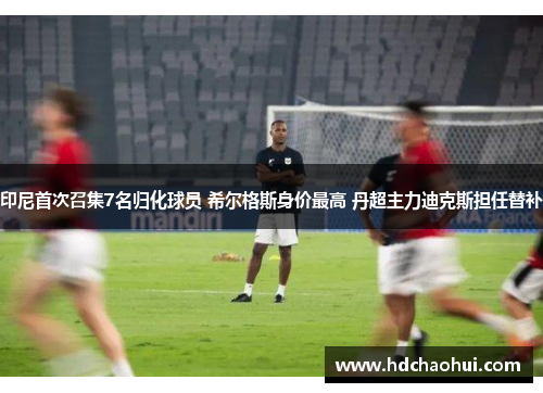 印尼首次召集7名归化球员 希尔格斯身价最高 丹超主力迪克斯担任替补